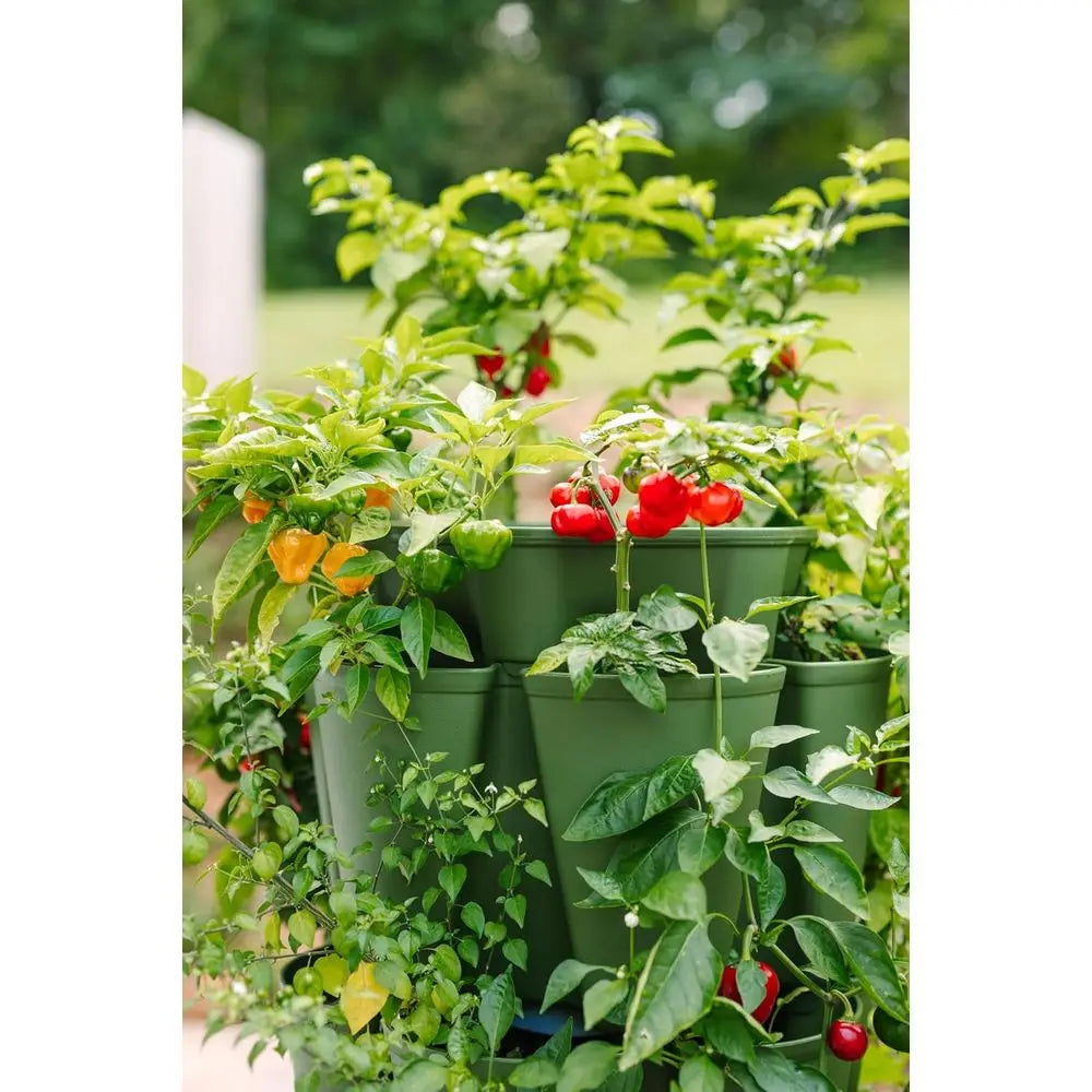 ticify Five Tier Garden Planter With Internal Watering System