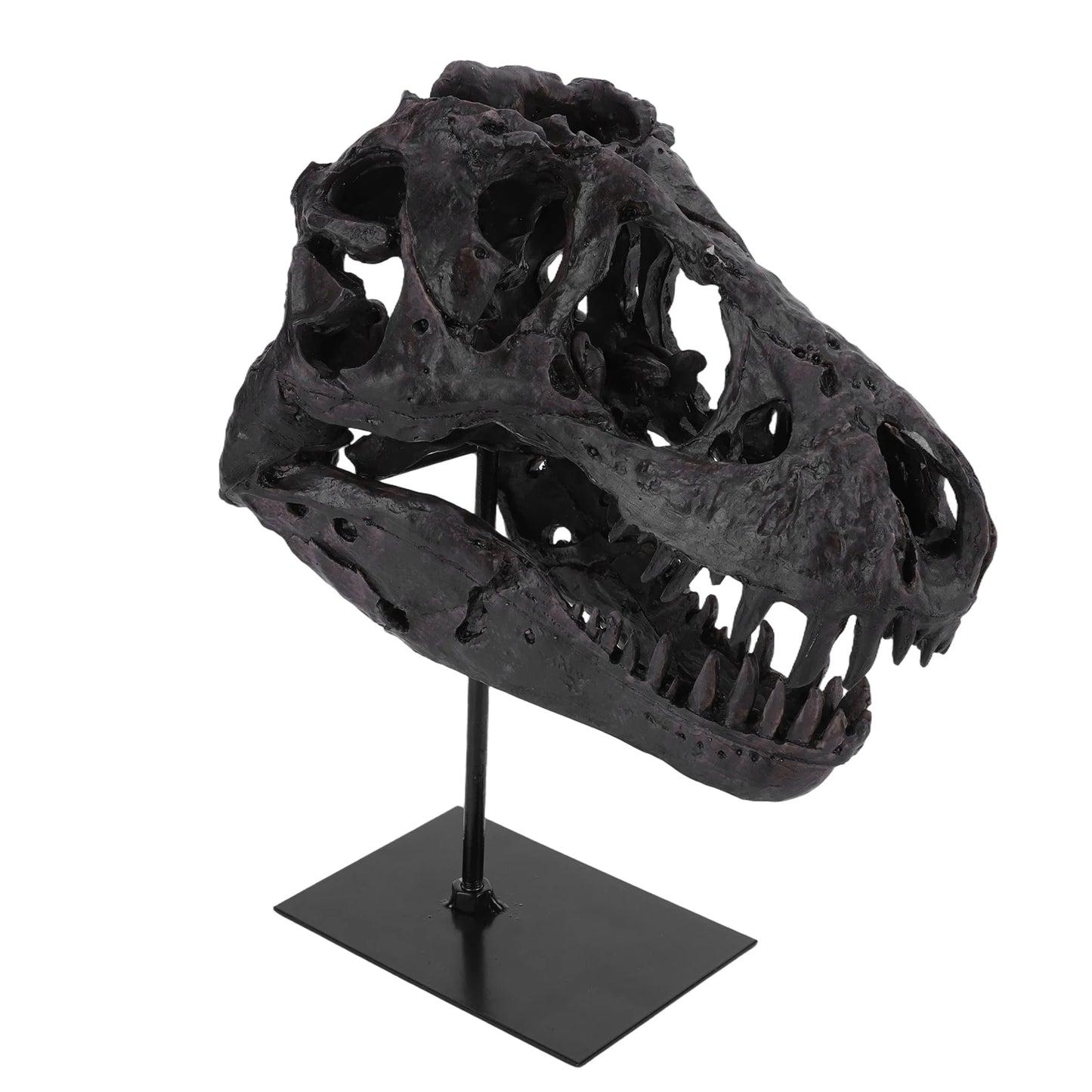 Dinosaur Fossil Resin Skull Figurine Replica Head Sculpture