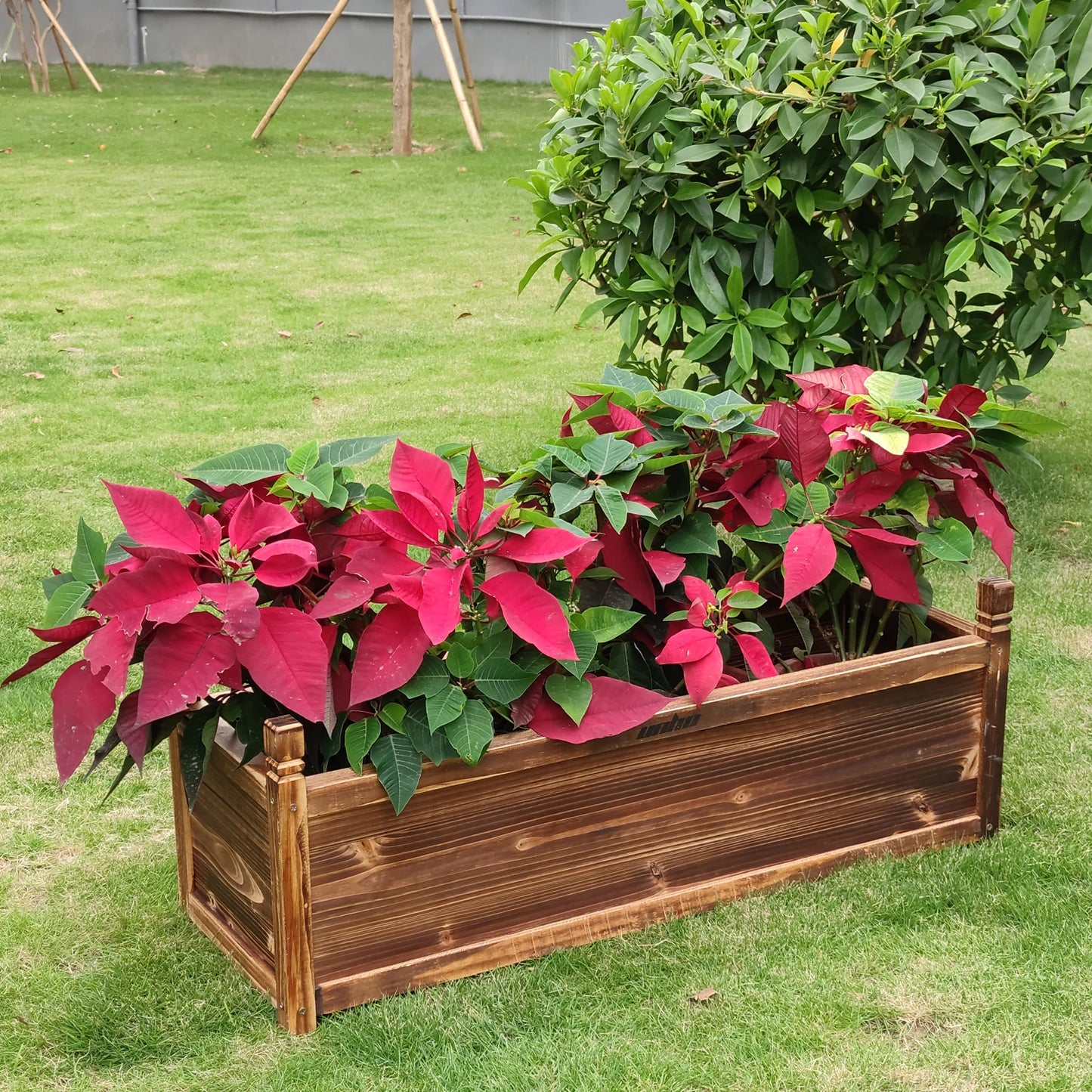 Raised Garden Bed Window Mounted Planter Box For Flowers And Vegetables