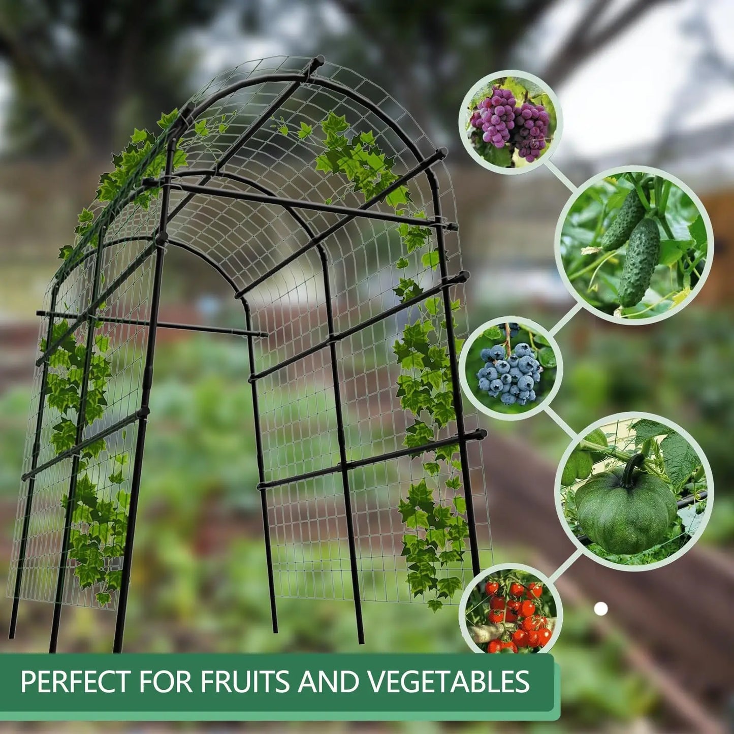 Metal Garden Arch Trellis For Climbing Vines And Cucumbers