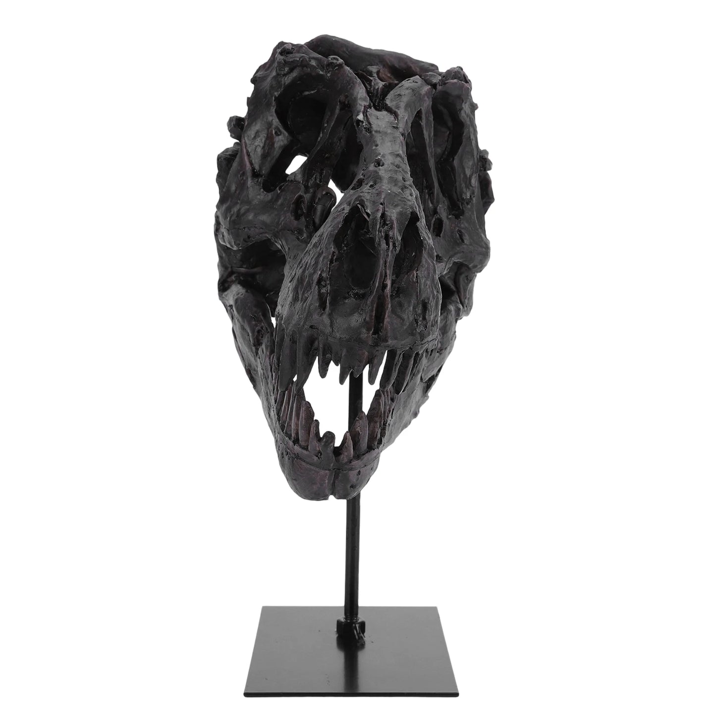 Dinosaur Fossil Resin Skull Figurine Replica Head Sculpture