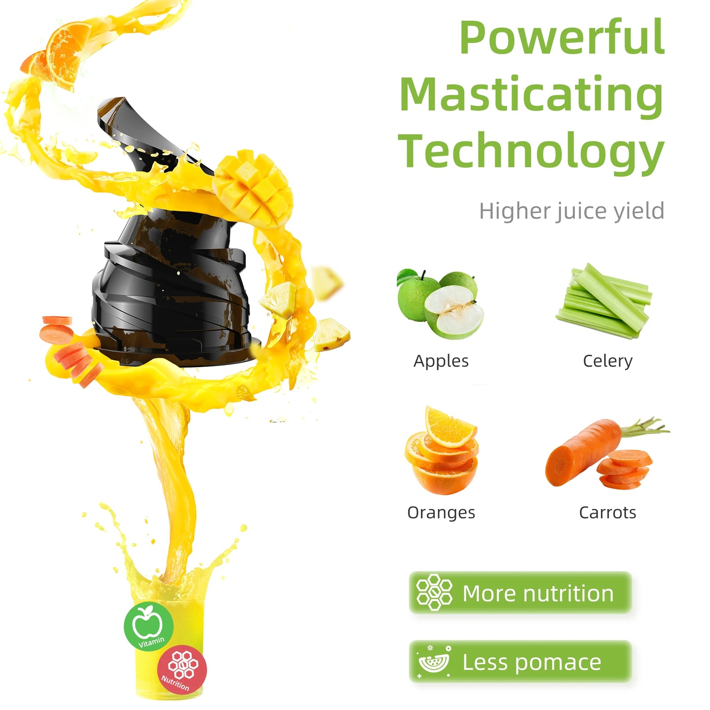 Biolomix Cold Press Juicer 200W Slow Masticating Extractor
