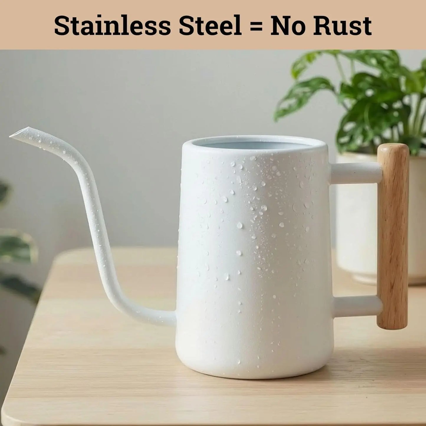 Indoor Watering Can With Long Spout And Wood Handle