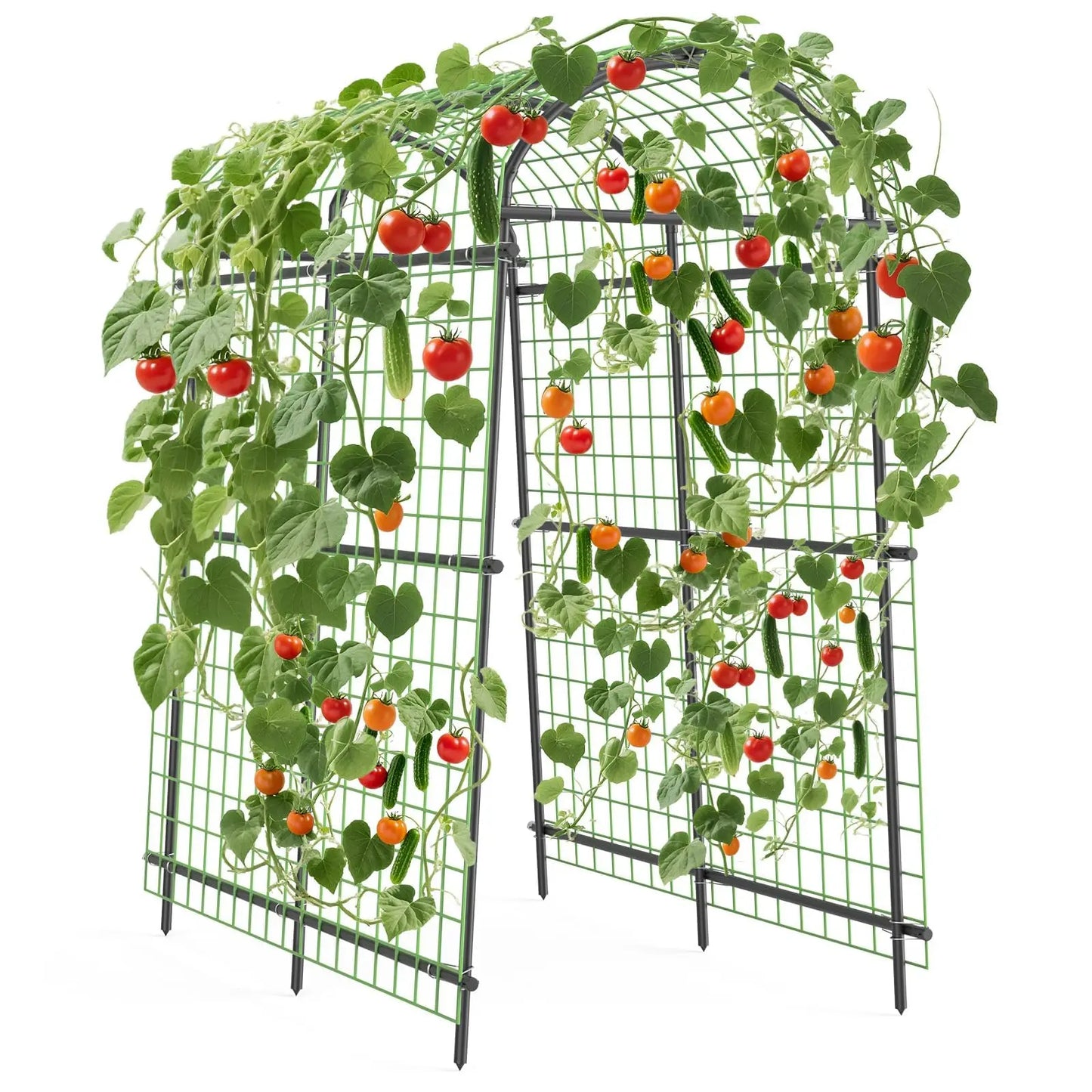 Metal Garden Arch Trellis For Climbing Vines And Cucumbers