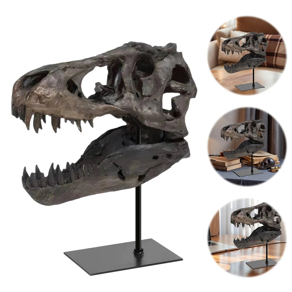 Dinosaur Fossil Resin Skull Figurine Replica Head Sculpture