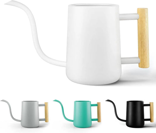 Indoor Watering Can With Long Spout And Wood Handle