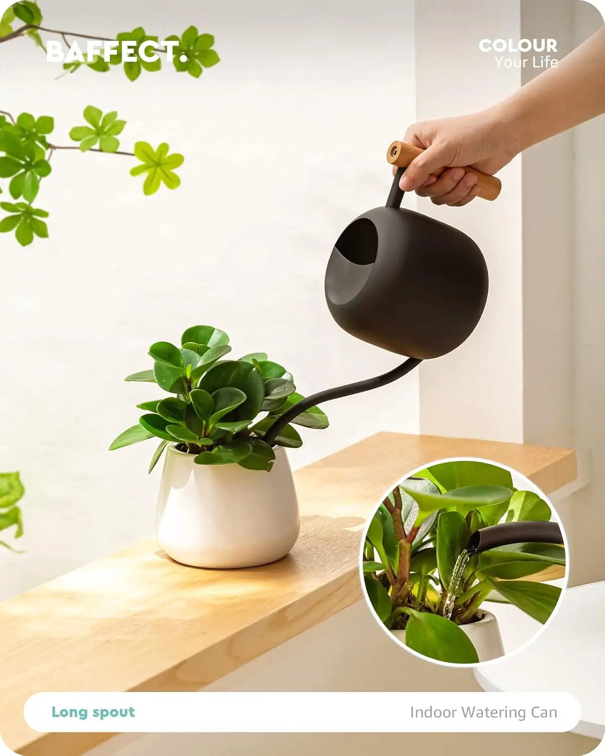 Stainless Steel Watering Can With Long Spout For Indoor Plants
