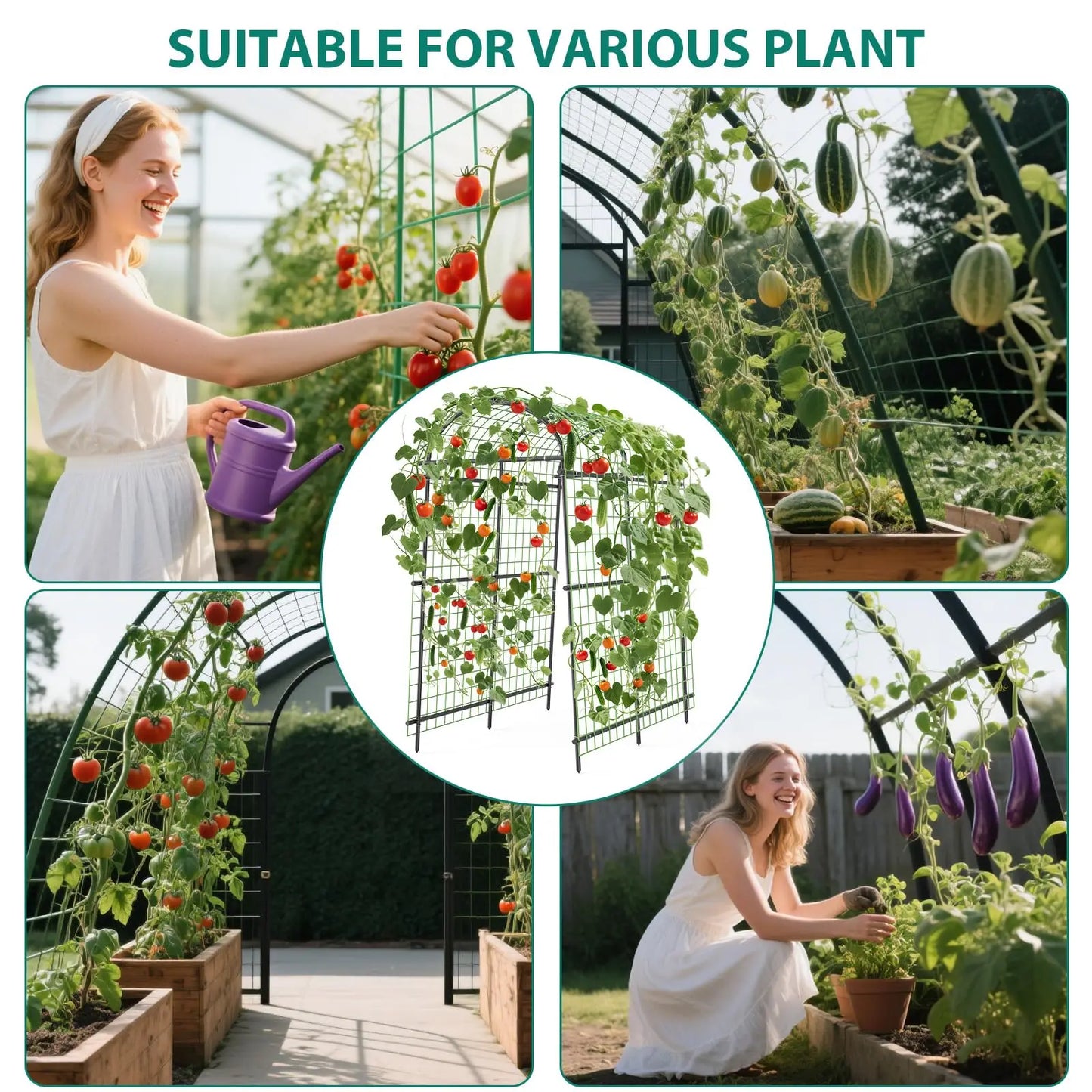 Metal Garden Arch Trellis For Climbing Vines And Cucumbers