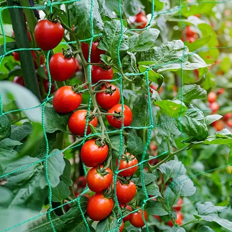 Heavy Duty Polyester Garden Trellis Netting For Climbing Plants