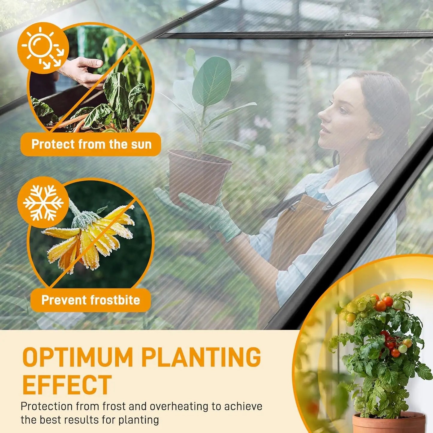 Aluminum Walk In Greenhouse With Polycarbonate Panels