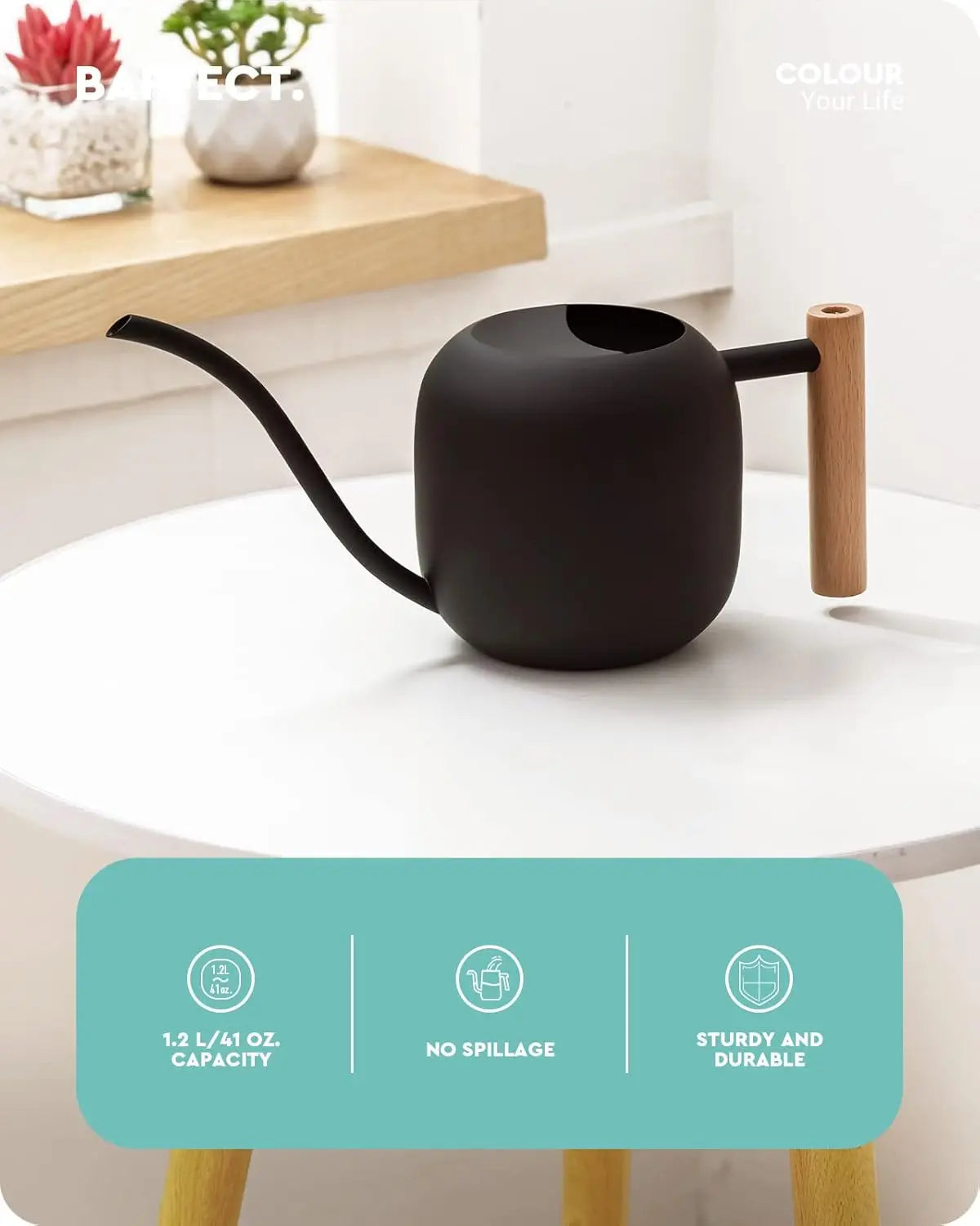 Stainless Steel Watering Can With Long Spout For Indoor Plants
