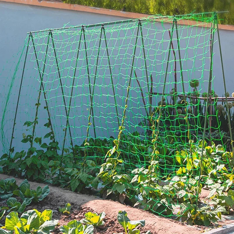 Heavy Duty Polyester Garden Trellis Netting For Climbing Plants