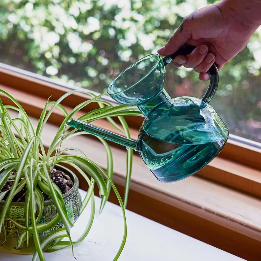 Handcrafted Borosilicate Glass Plant Watering Can With Long Spout