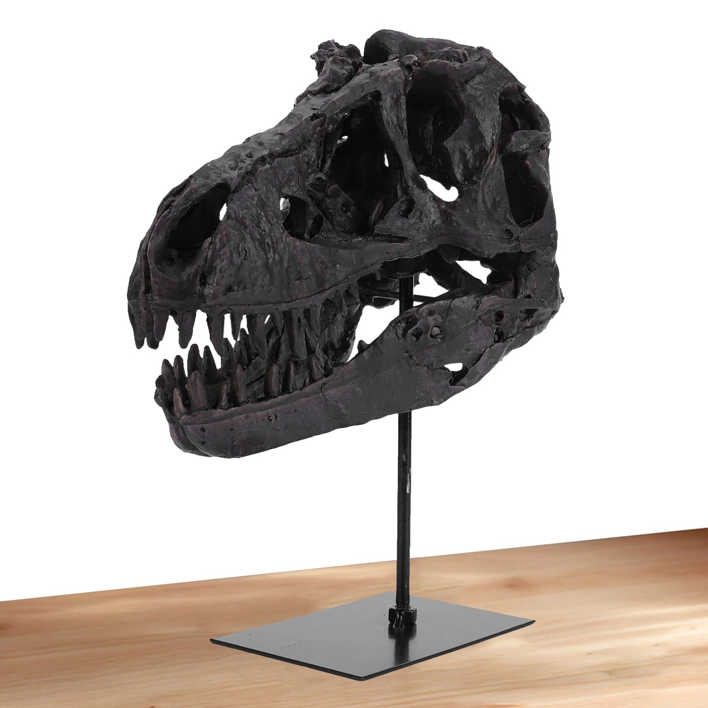 Dinosaur Fossil Resin Skull Figurine Replica Head Sculpture