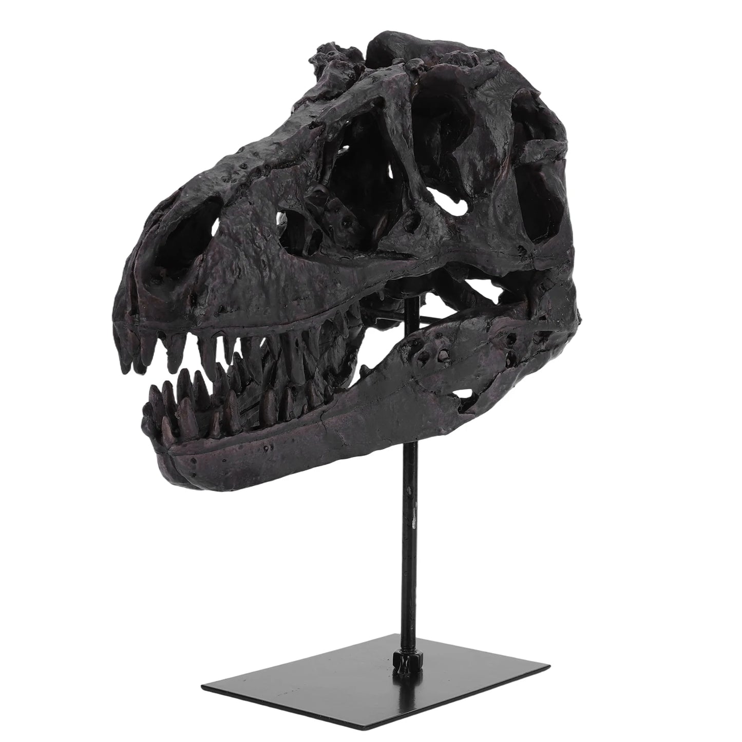 Dinosaur Fossil Resin Skull Figurine Replica Head Sculpture